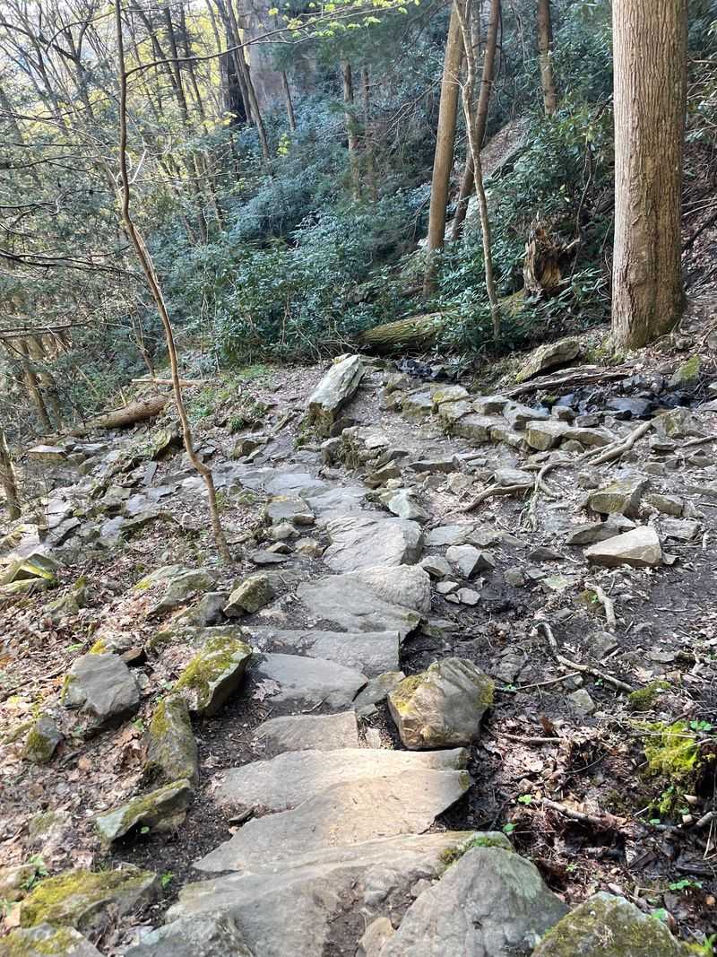 A Trail That Tests Your Legs A Trail That Tests Your Legs