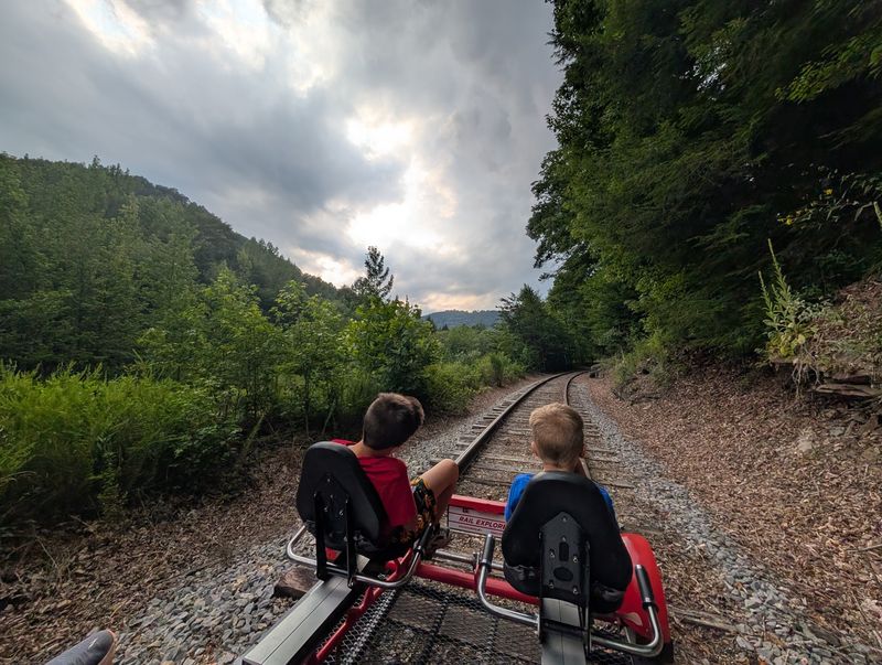 A Twelve-Mile Journey Through The Forest Canopy