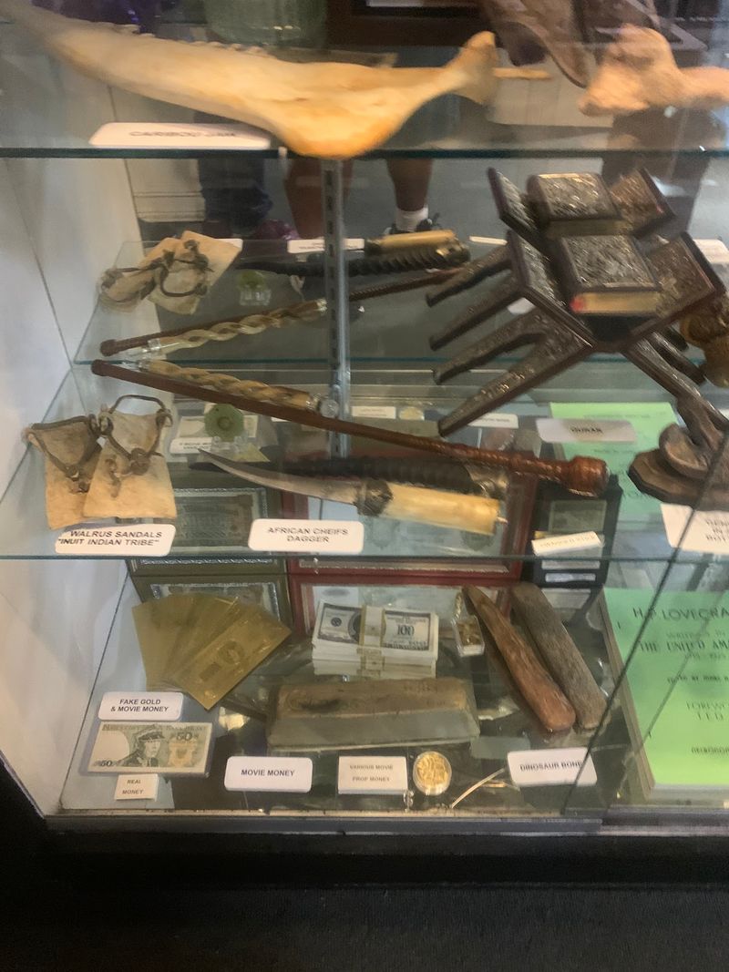 A Unicorn Horn in a Glass Case
