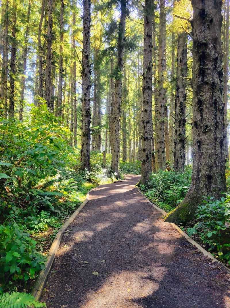 A Walk So Short It Barely Counts as a Hike