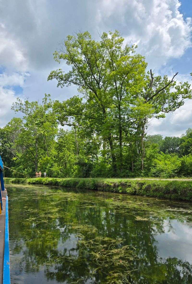 A Watered Stretch of the Miami and Erie Canal