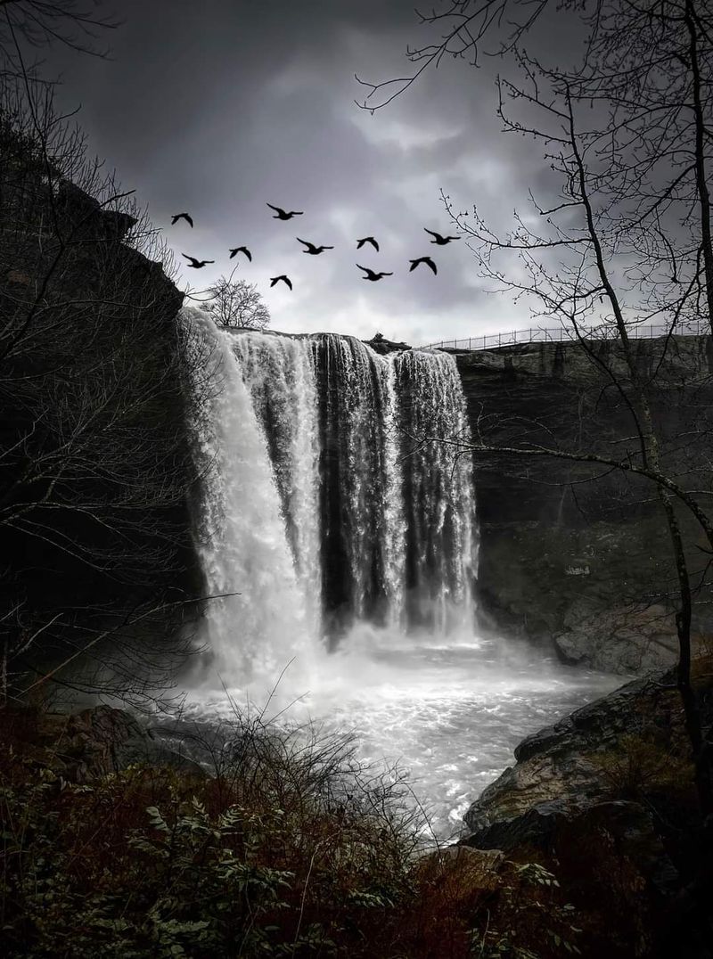 A Waterfall That Steals the Whole Show A Waterfall That Steals the Whole Show