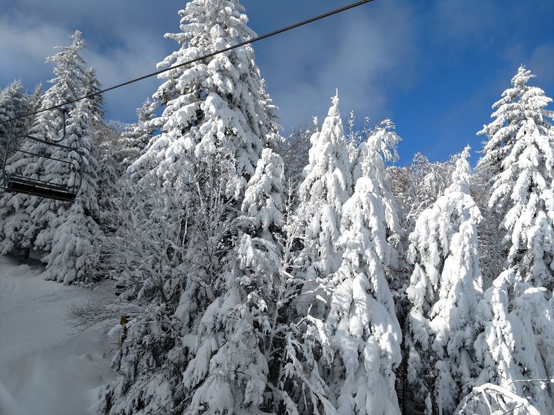 A Winter Wonderland Unveiled