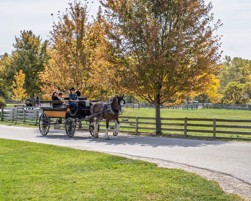 A Working Farm Park in the Heart of Lake County A Working Farm Park in the Heart of Lake County