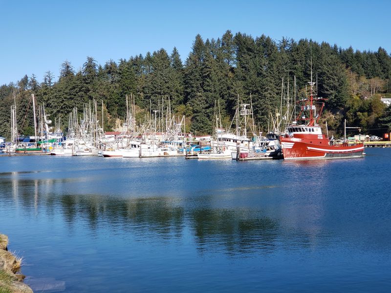 A Working Harbor Where Oyster Season Starts Early