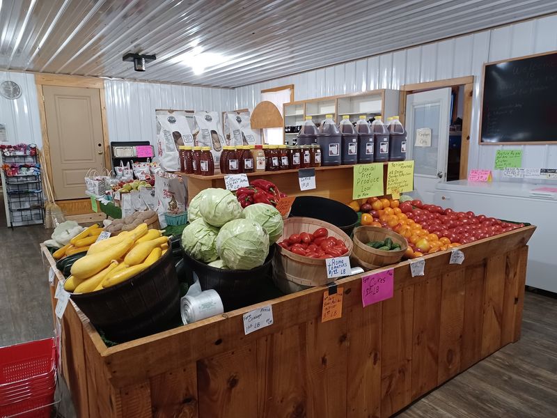 A Young Amish Community Putting Down Roots A Young Amish Community Putting Down Roots