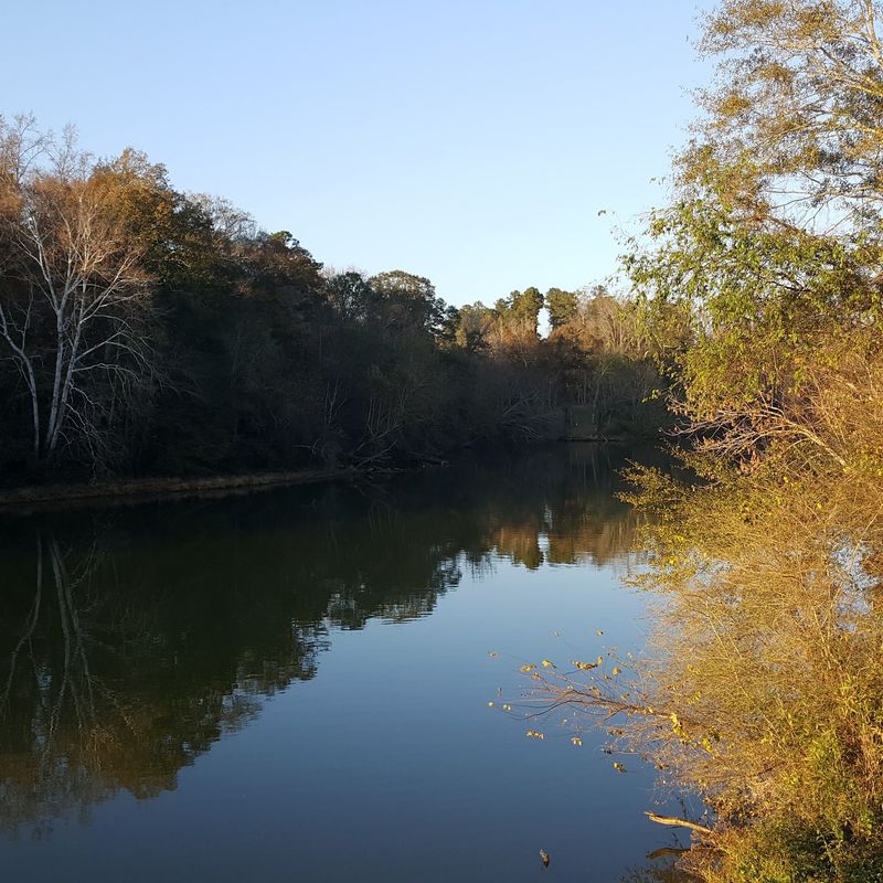 Alabama's Only Wild and Scenic River Alabama's Only Wild and Scenic River