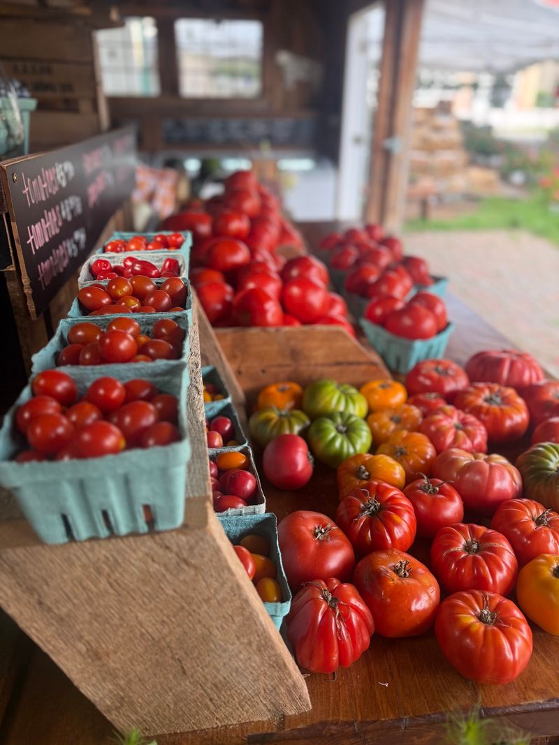 Albright Farms Albright Farms