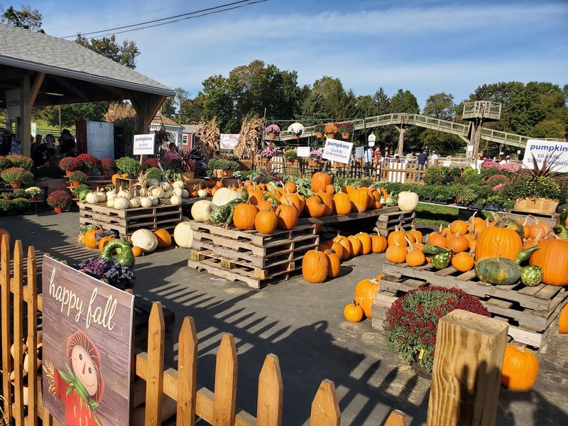 Alstede Farms, Harvest Wonders and Family Fun Alstede Farms, Harvest Wonders and Family Fun