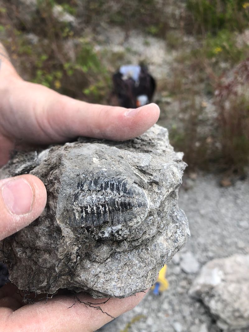 An Ancient Ocean Left Behind