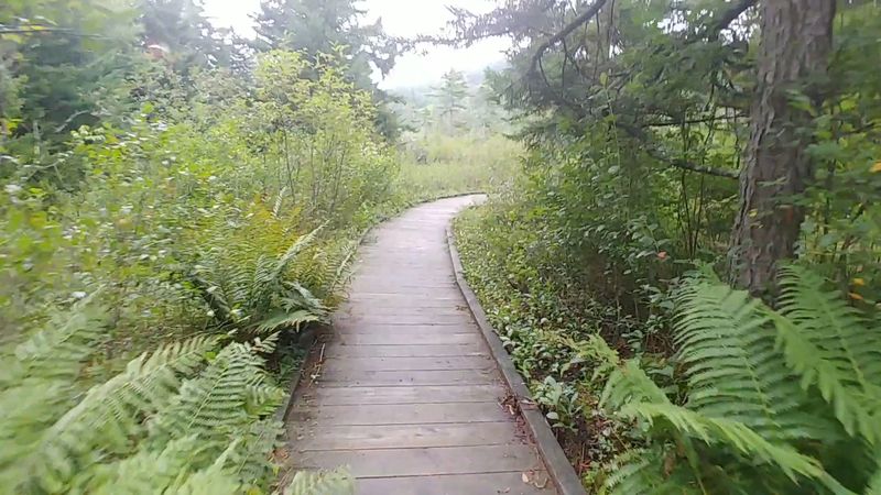 An Easy Walk the Whole Family Can Enjoy An Easy Walk the Whole Family Can Enjoy