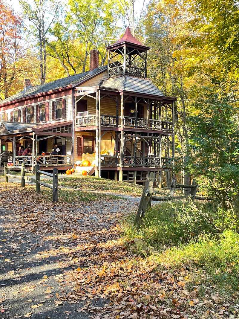 An Industrial Dream Carved Out of the Woods An Industrial Dream Carved Out of the Woods