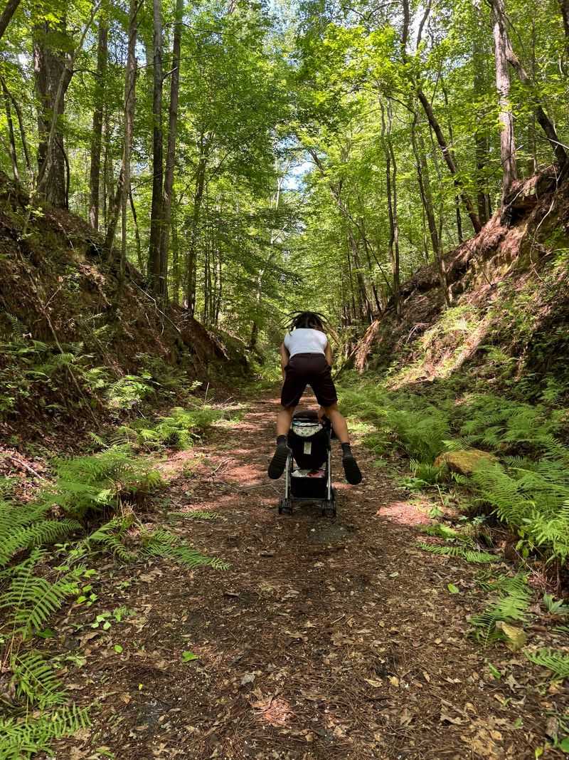 An Old Railbed With A Second Life
