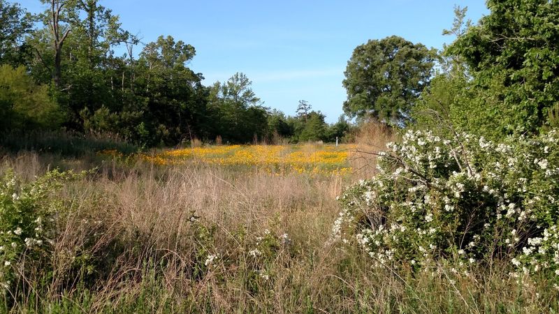 An Outdoor Classroom For Backyard Gardeners