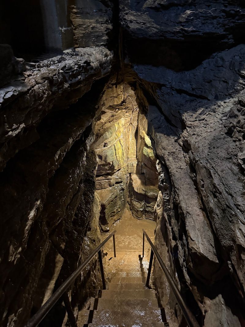 An Ox, a Hidden Shaft, and a Name Carved in Stone