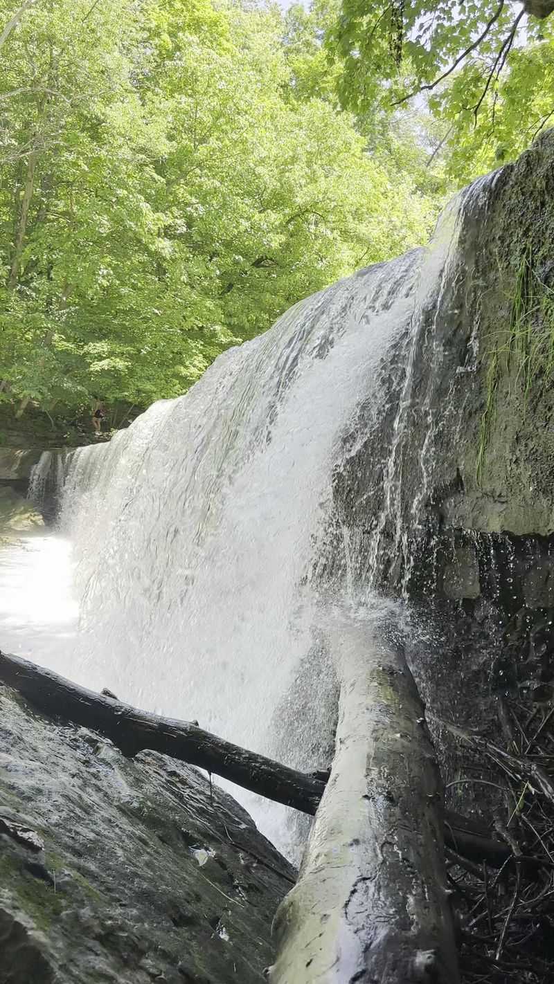 Anderson Falls, Hartsville Anderson Falls, Hartsville