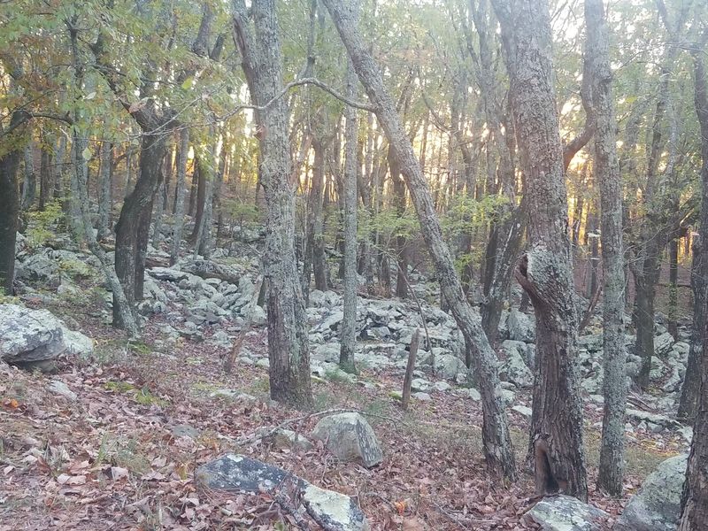 Angel Falls and the Rock Garden Outlook, Cheaha Angel Falls and the Rock Garden Outlook, Cheaha