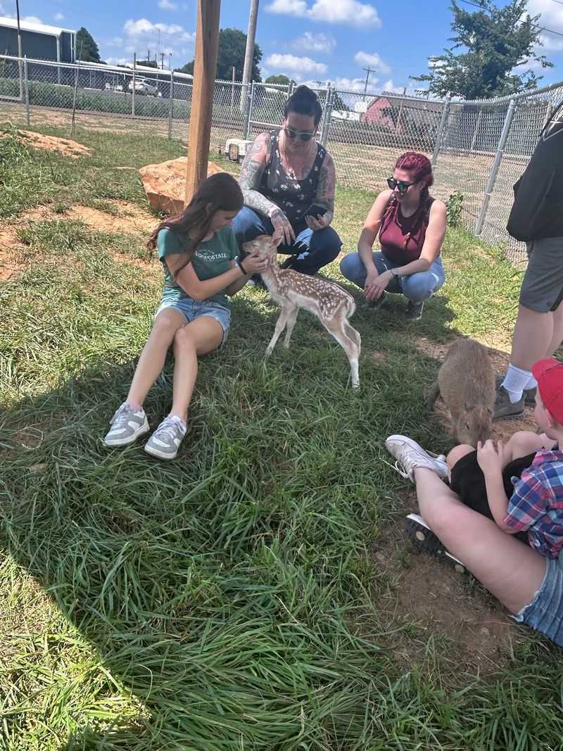 Animals Get The Final Say On Interaction Animals Get The Final Say On Interaction