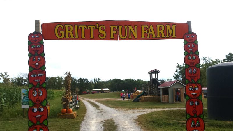Apple Cannons, Corn Mazes, and Country Games Apple Cannons, Corn Mazes, and Country Games
