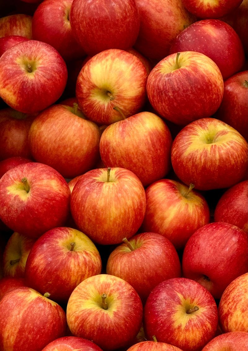 Apple Fest And The Weekends That Feel Like One