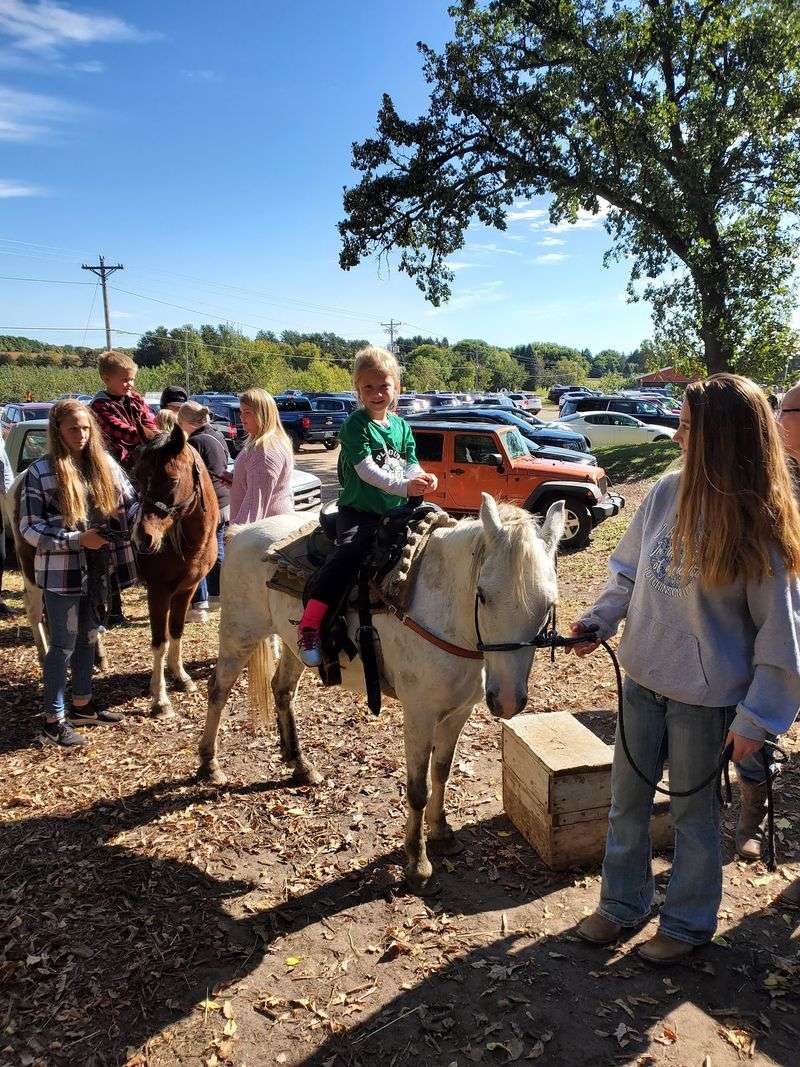 Apple Jack Orchard Fall Festival, Elgin