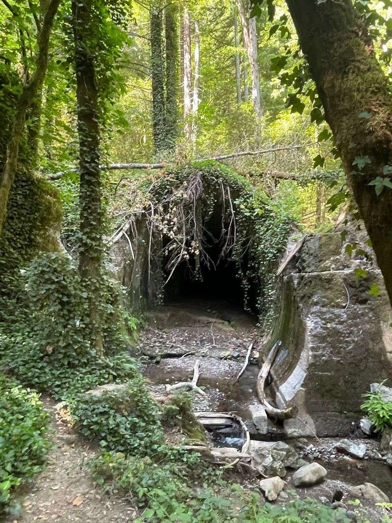 April 1942 and the Blast That Closed Both Portals