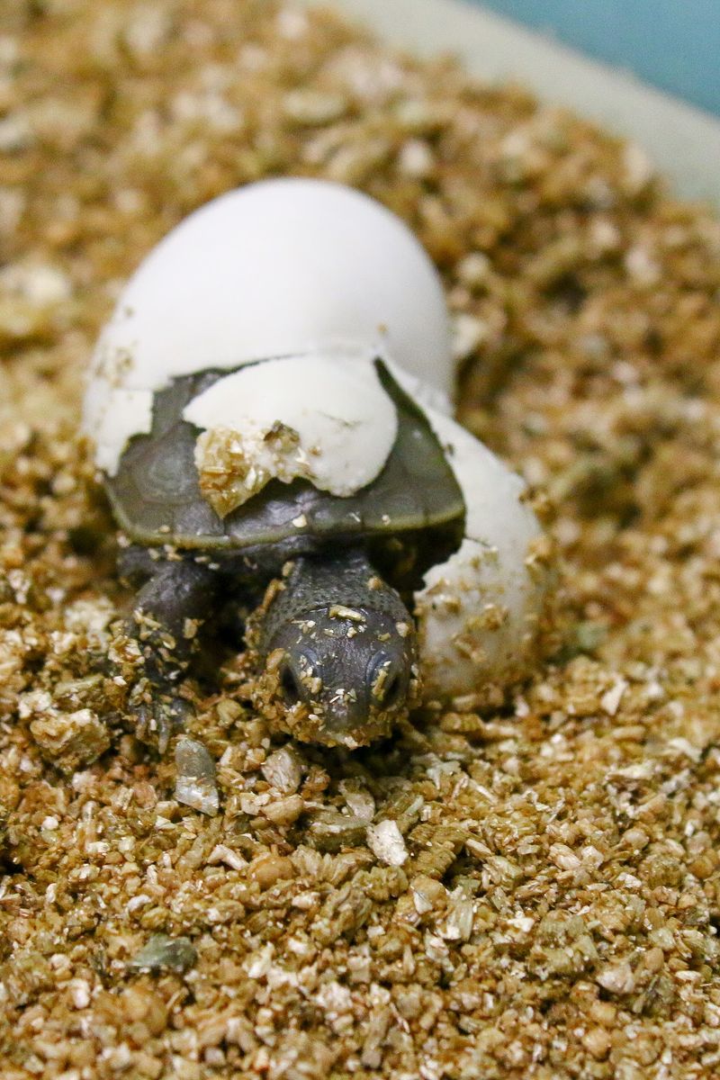 Aquarium Tanks Reveal What Hides Beneath The Water