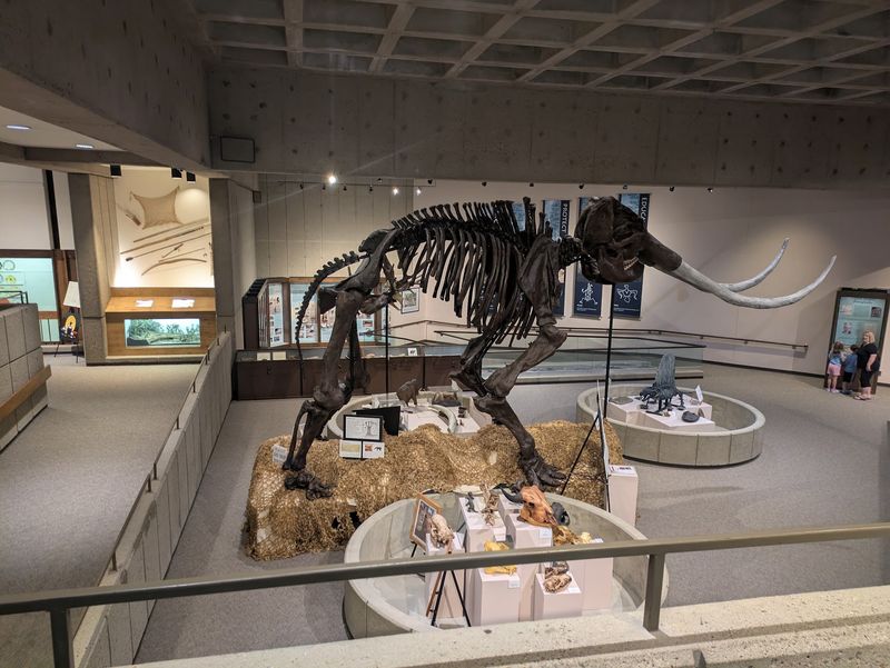Artifacts And Unexpected Treasures Inside Artifacts And Unexpected Treasures Inside