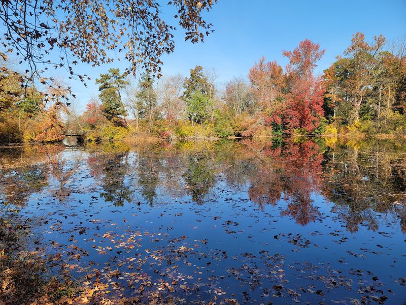 Autumn Color Along The Water