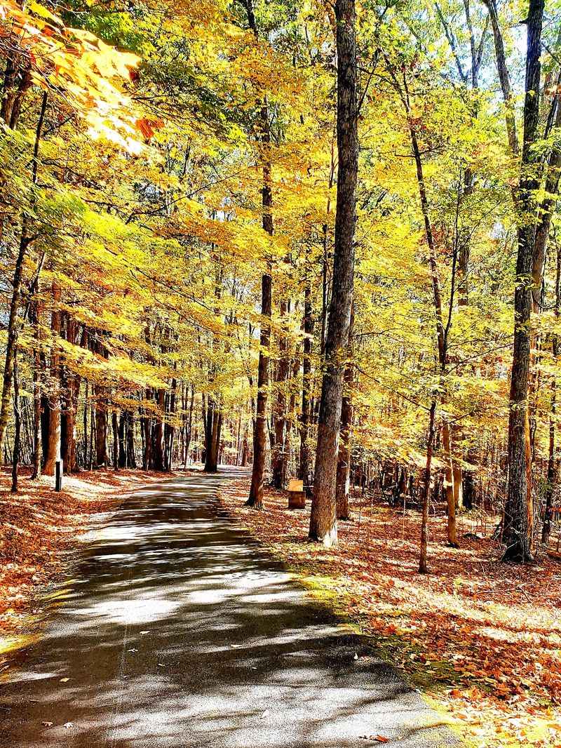 Autumn Color on the Ridgeline