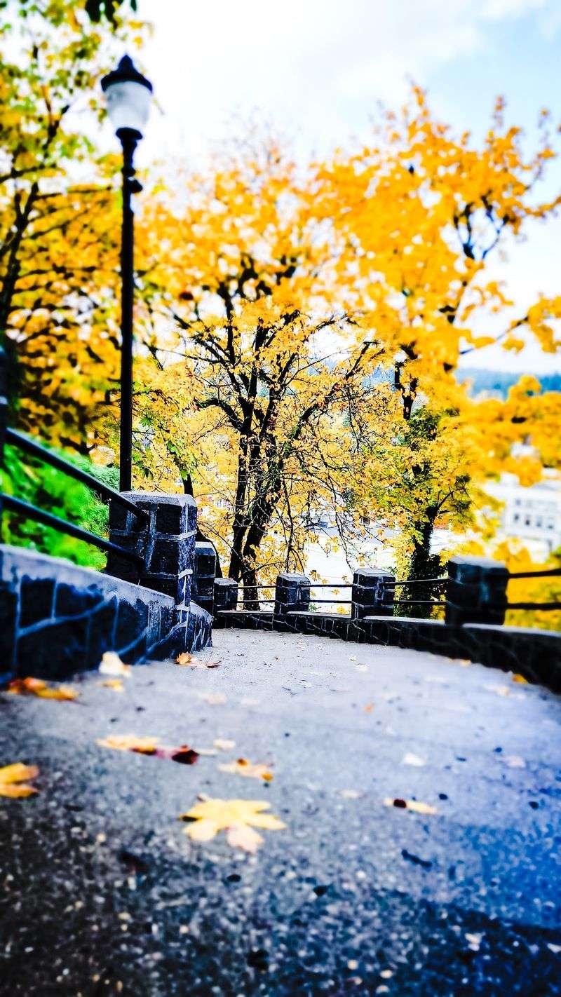 Autumn Strolls Around the Grounds