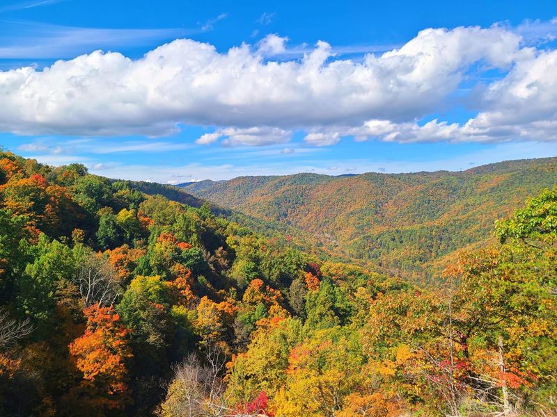 Autumn Turns The Gorge Into A Color Explosion Autumn Turns The Gorge Into A Color Explosion