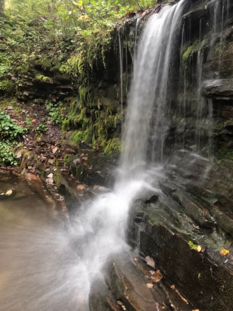Azalea Cascade and Laurel Falls, DeSoto State Park Azalea Cascade and Laurel Falls, DeSoto State Park