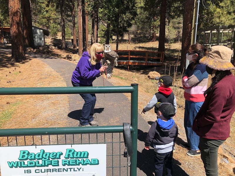 Badger Run Wildlife Rehab, Klamath Falls, OR