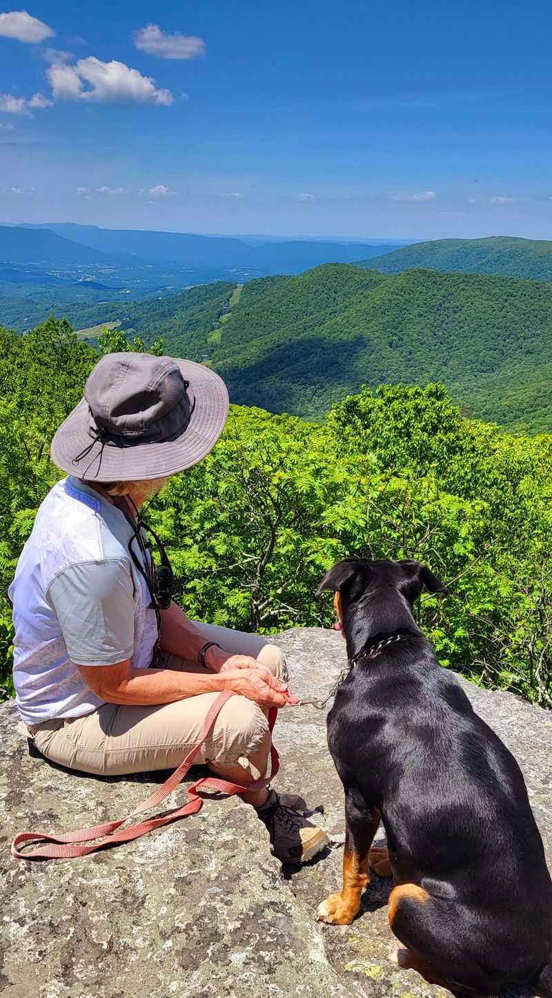 Bald Knob and the Big Mountain Views Bald Knob and the Big Mountain Views