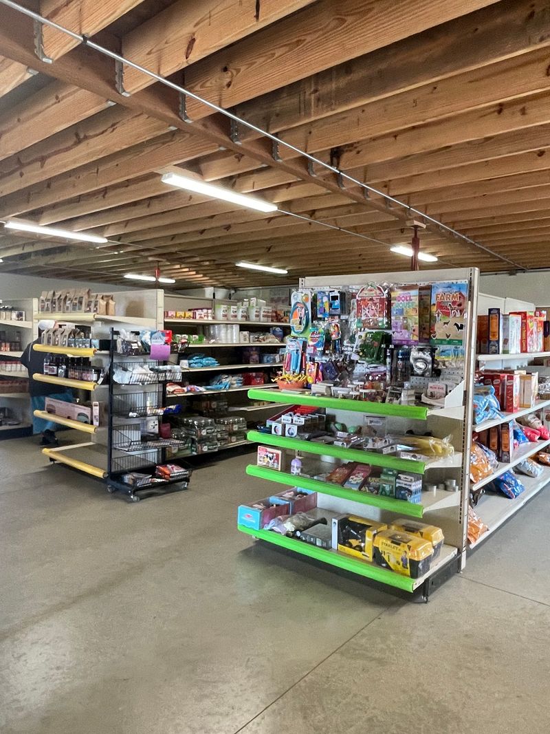 Bargain Shelves That Reward A Slow Walk Down Every Aisle Bargain Shelves That Reward A Slow Walk Down Every Aisle