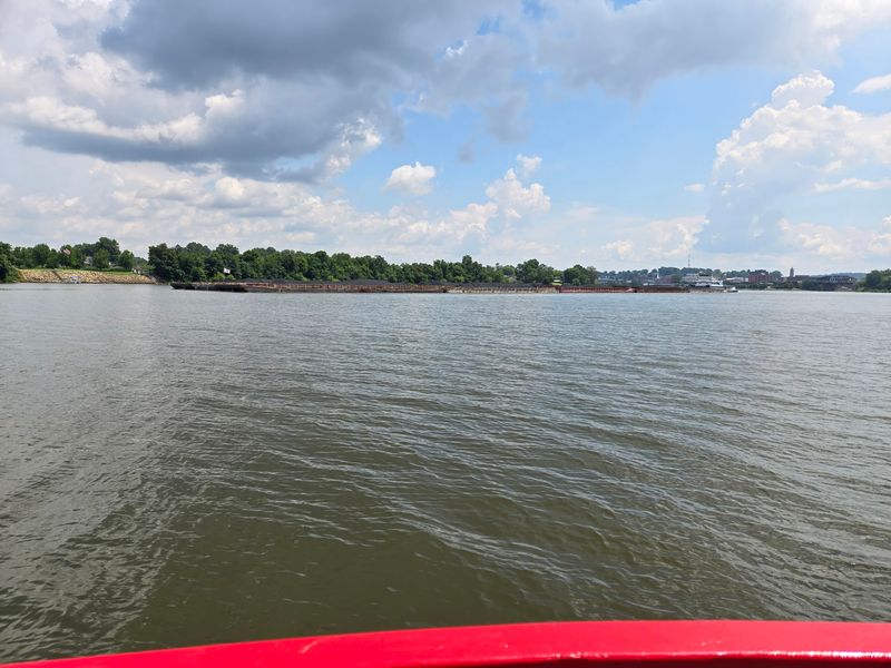 Barges, Birds, and Everyday River Life