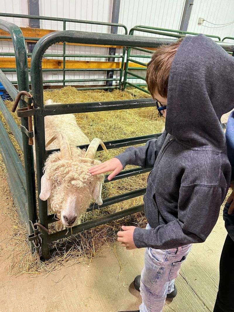 Barnyard Friends, From Bunnies to Border Collies Barnyard Friends, From Bunnies to Border Collies