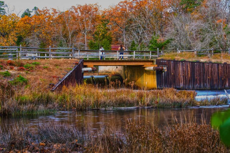 Batsto Village, A Journey Through Pine Barrens History Batsto Village, A Journey Through Pine Barrens History