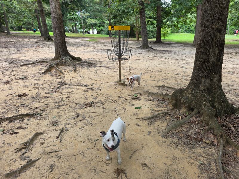 Bayville Farms Park Where Zoomies Meet Agility Equipment Bayville Farms Park Where Zoomies Meet Agility Equipment