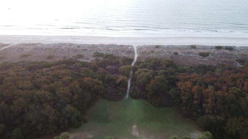 Beach, Marsh, and Planning Your Visit