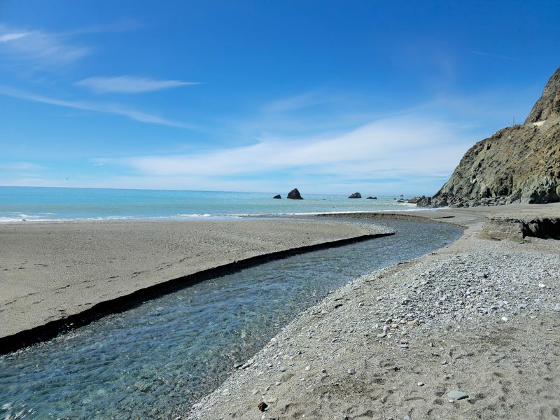 Beach Under the Bridge, Sand Meeting Redwoods