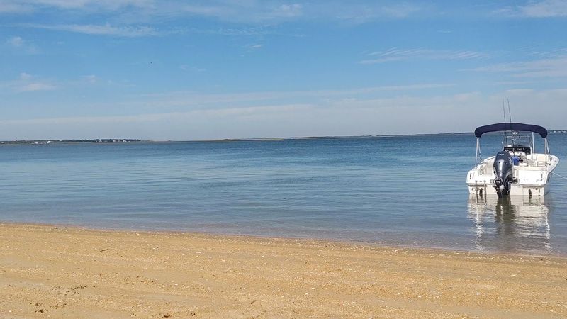 Beaches, Shells, and a Protected Future Beaches, Shells, and a Protected Future