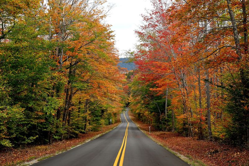 Bear Notch Road, New Hampshire Bear Notch Road, New Hampshire