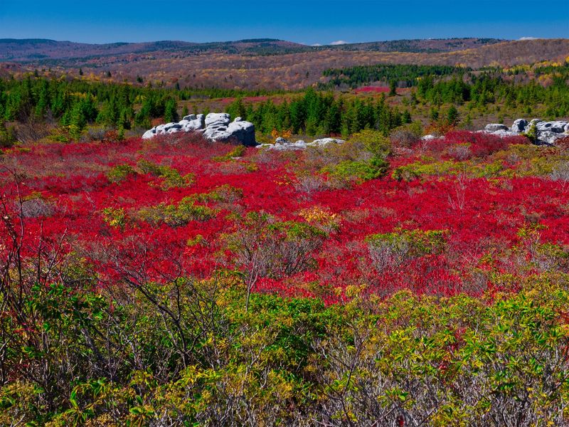 Bear Rocks Preserve and Its Grand Vistas