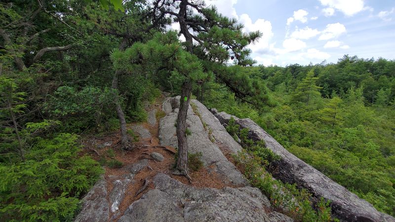 Bearfort Ridge And Its Striped Puddingstone Slabs Bearfort Ridge And Its Striped Puddingstone Slabs
