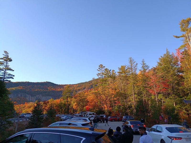Beat the Crowds and Grab That Parking Spot Beat the Crowds and Grab That Parking Spot