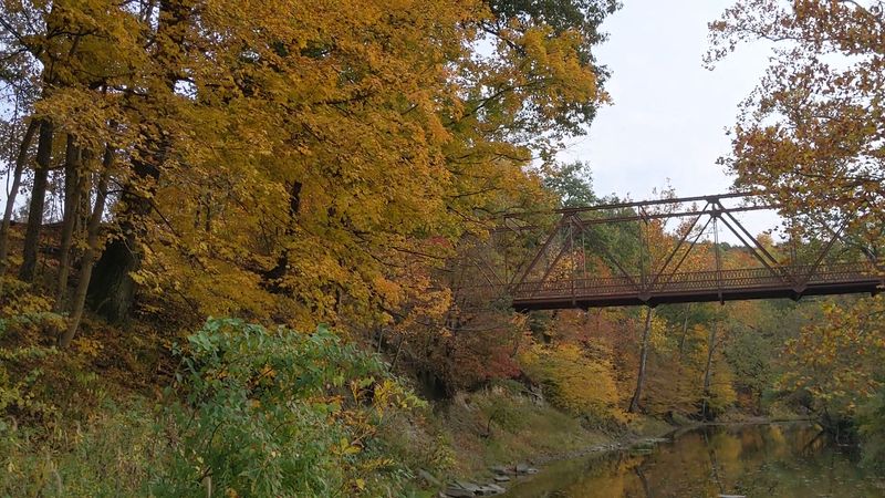 Bees, Boardwalks And A Creek Made For Wading
