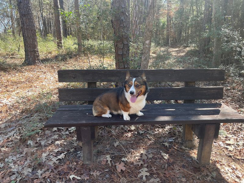 Benches Made for Doing Nothing Benches Made for Doing Nothing
