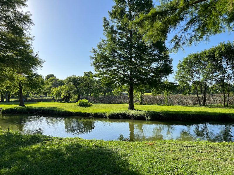 Benches, Shade, and Room to Breathe
